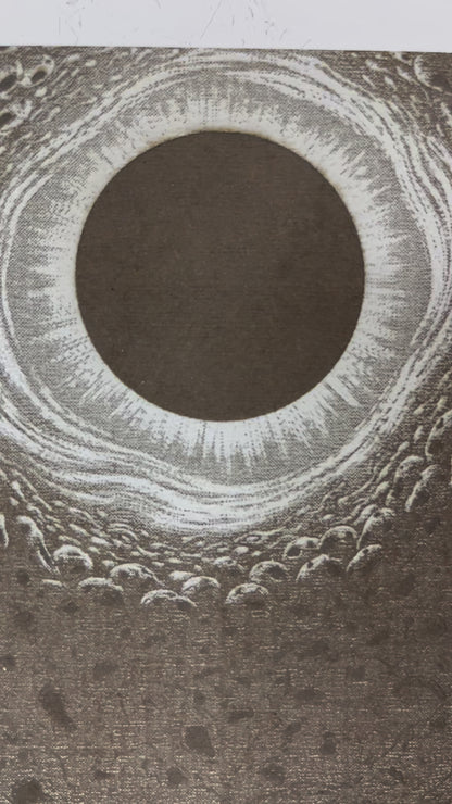 vidéo du Poster BERSERK Guts dans la vision de Casca